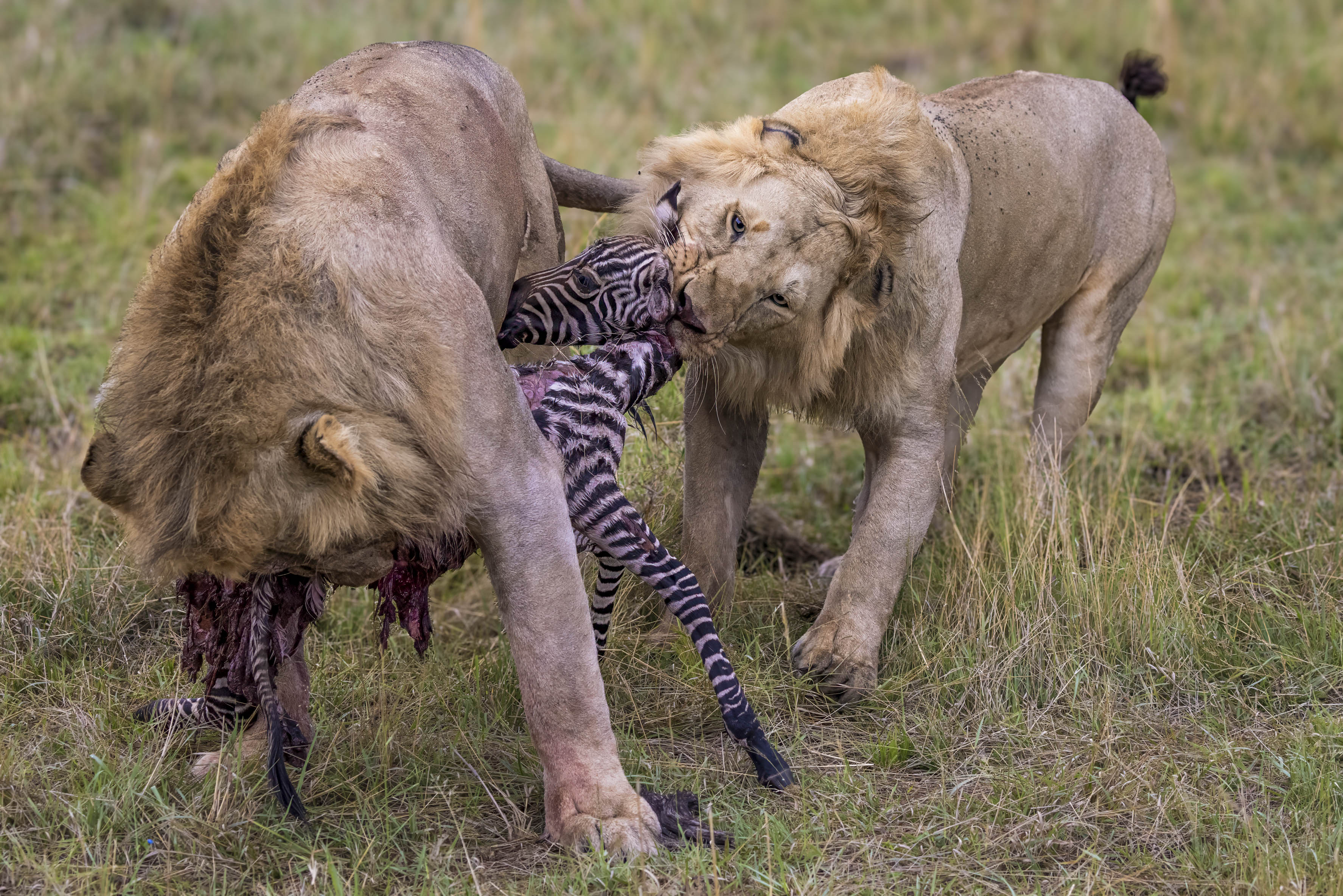 November 15, 2022-070620-2-Edit.jpg